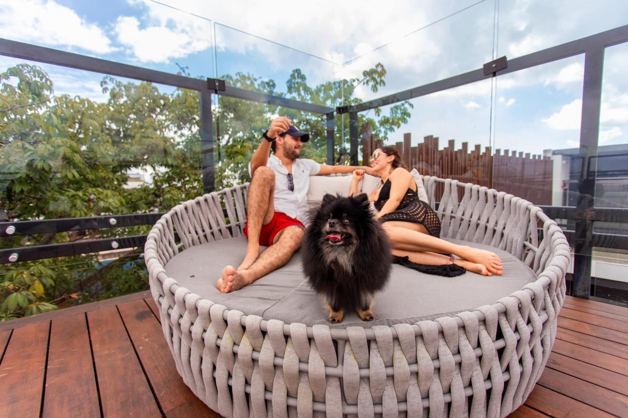 Serenity Hotel Boutique By Alsol Playa del Carmen Exteriér fotografie